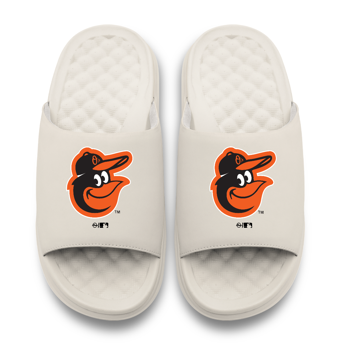 Baltimore Orioles Primary Motive