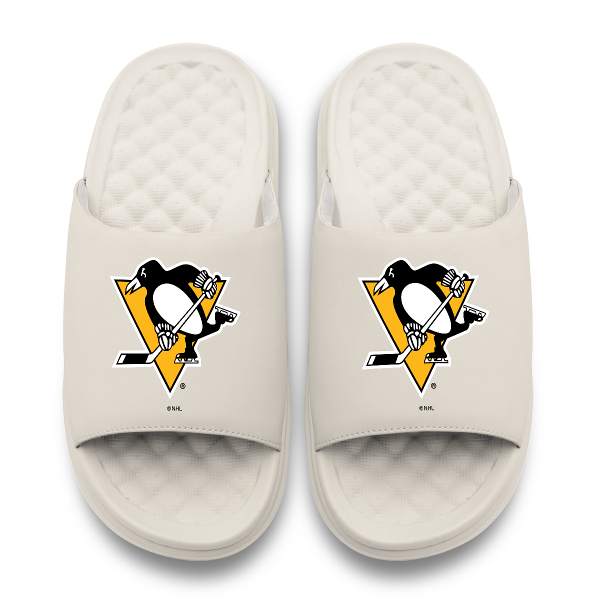 Pittsburgh Penguins Primary Motive