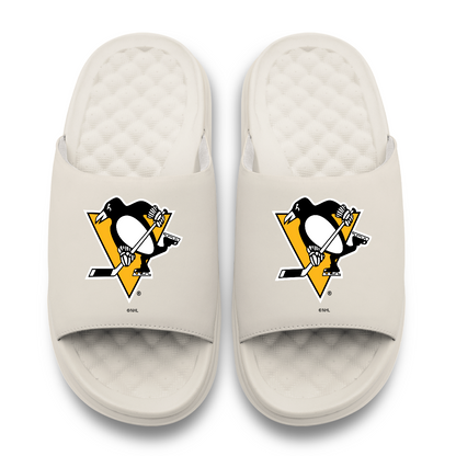 Pittsburgh Penguins Primary Motive