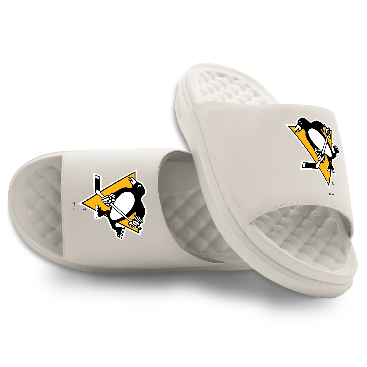 Pittsburgh Penguins Primary Motive