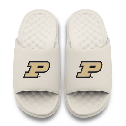 Purdue Boilermakers Primary Motive