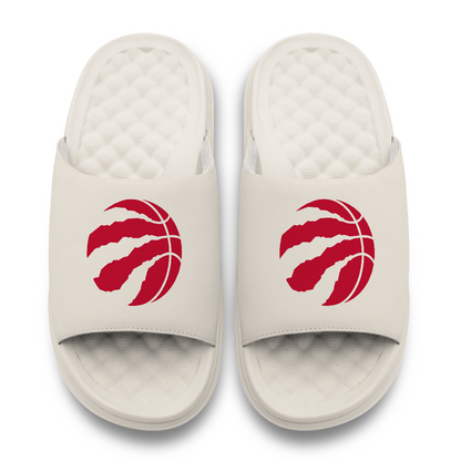 Toronto Raptors Primary Motive