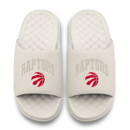 Toronto Raptors Tonal Pop Motive