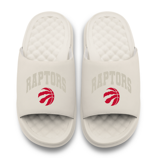 Toronto Raptors Tonal Pop Motive