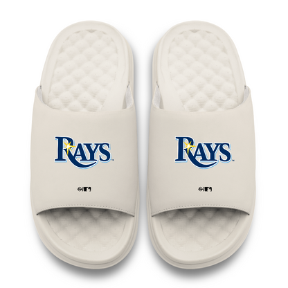 Tampa Bay Rays Primary Motive