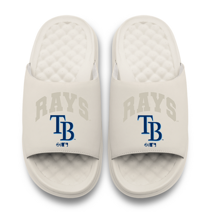 Tampa Bay Rays Tonal Pop Motive