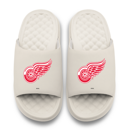 Detroit Red Wings Primary Motive