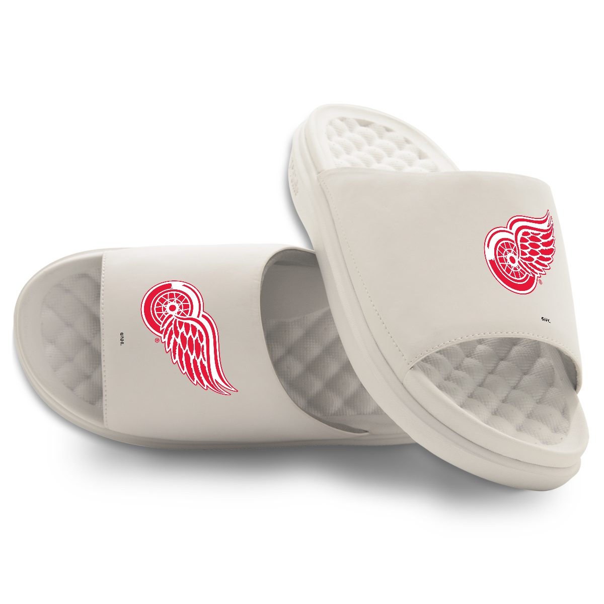 Detroit Red Wings Primary Motive