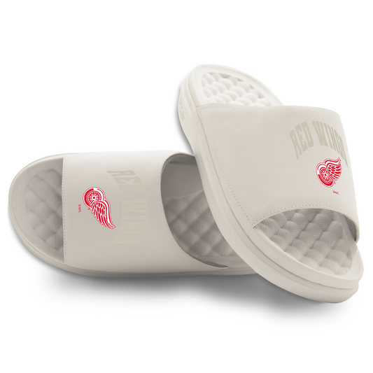 Detroit Red Wings Tonal Pop Motive