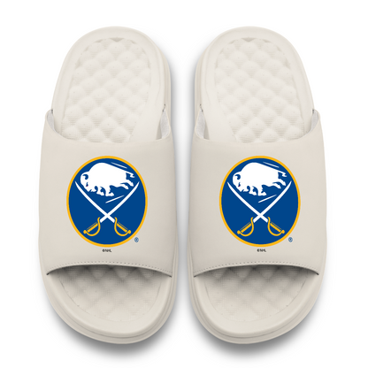 Buffalo Sabres Primary Motive