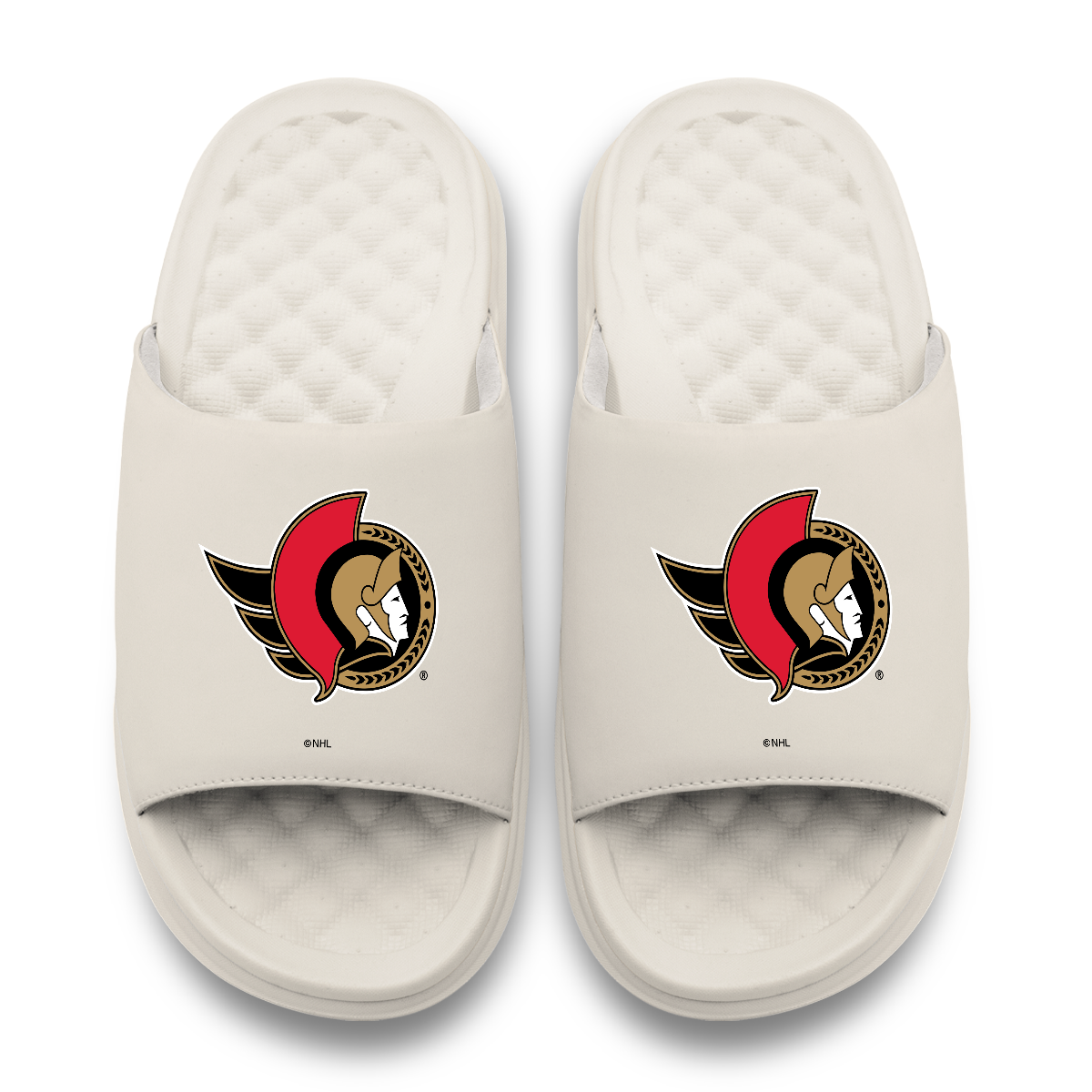 Ottawa Senators Primary Motive