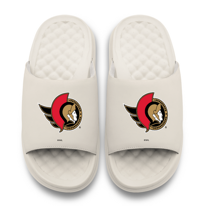 Ottawa Senators Primary Motive