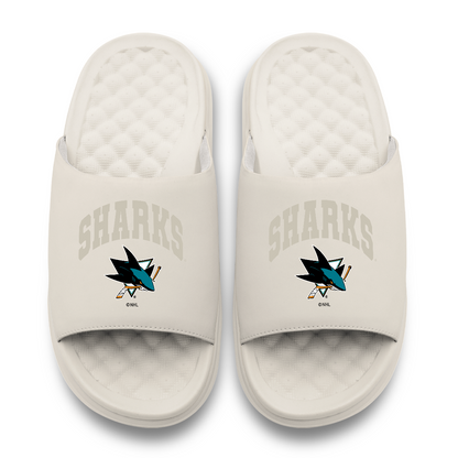San Jose Sharks Tonal Pop Motive