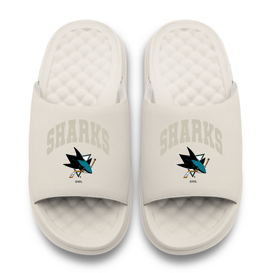 San Jose Sharks Tonal Pop Motive