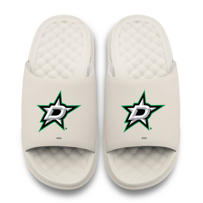 Dallas Stars Primary Motive