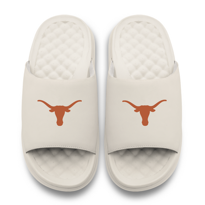 Texas Longhorns Primary Motive