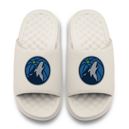 Minnesota Timberwolves Primary Motive