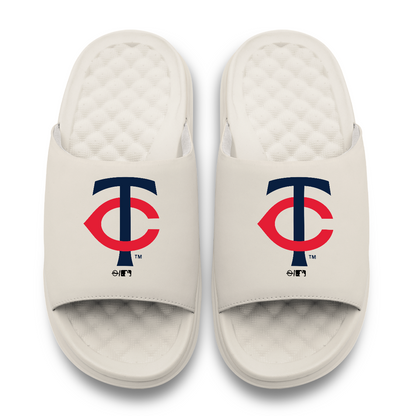 Minnesota Twins Primary Motive