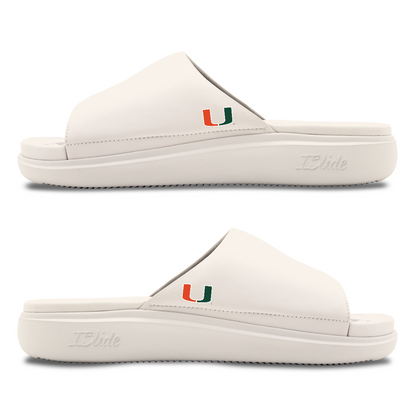 Miami Hurricanes Minimalistic Motive