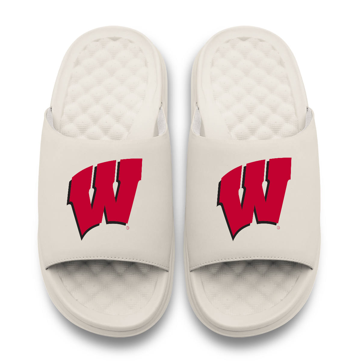 Wisconsin Badgers Primary Motive