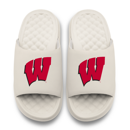 Wisconsin Badgers Primary Motive