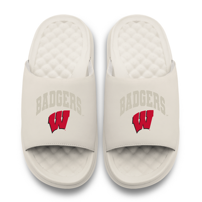 Wisconsin Badgers Tonal Pop Motive