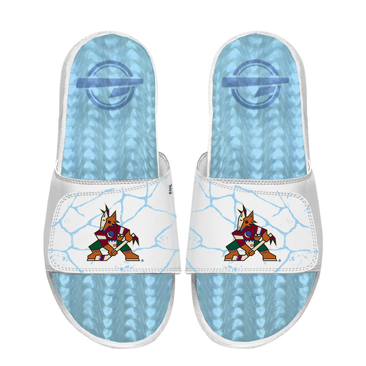 Arizona Coyotes White Ice Gel