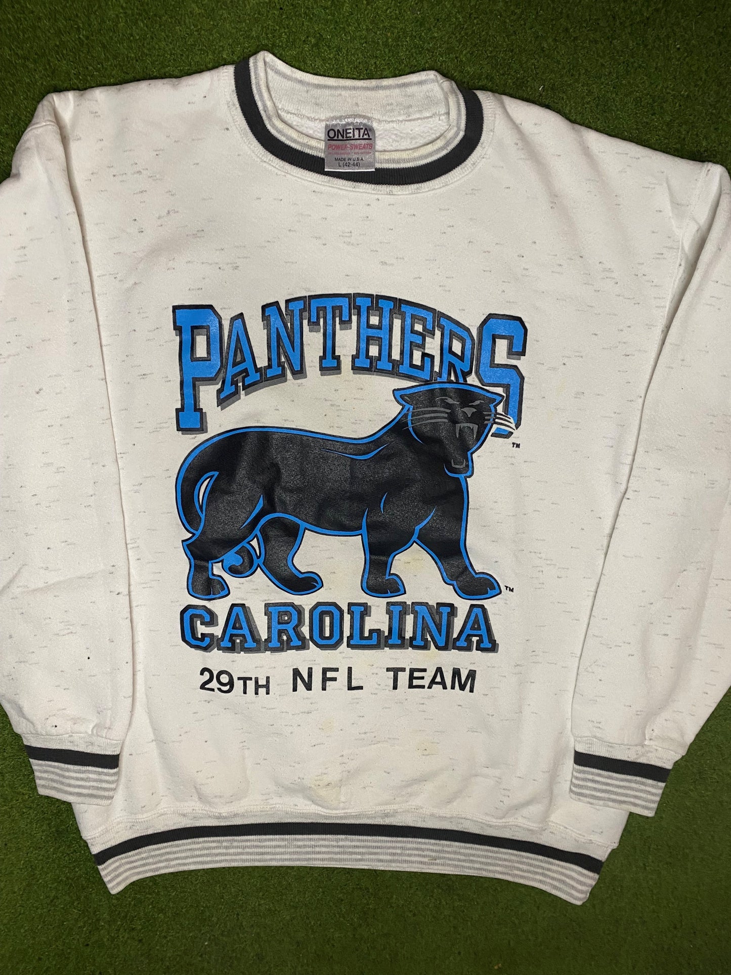 90s Carolina Panthers - 29th Team - Vintage NFL Sweatshirt (Large) 