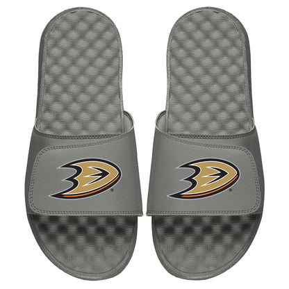Anaheim Ducks Primary Slides