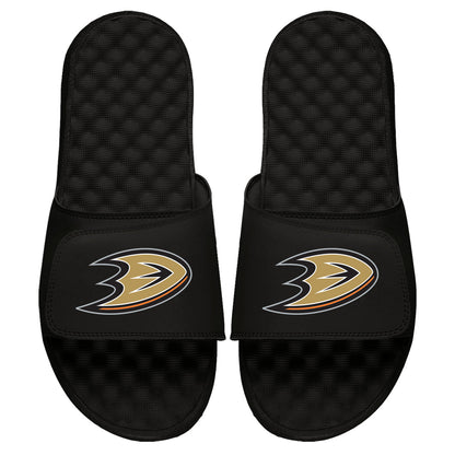 Anaheim Ducks Primary Slides