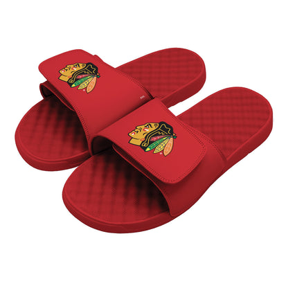 Chicago Blackhawks Primary Slides