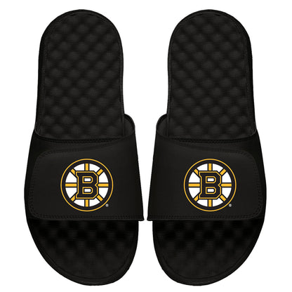 Boston Bruins Primary Slides