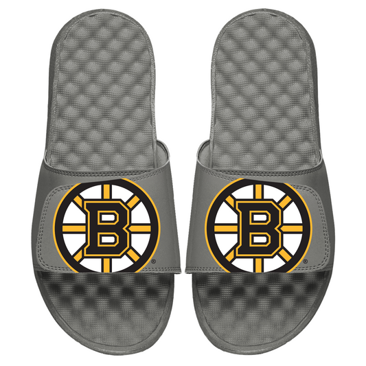 Boston Bruins Blown Up Slides