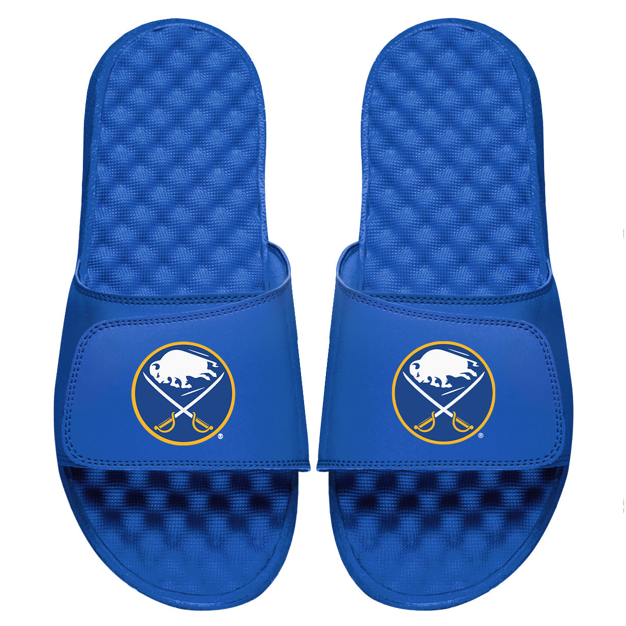 Buffalo Sabres Primary Logo Slides