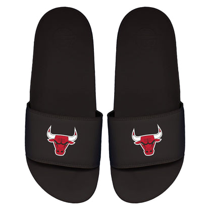 Bulls Primary Motto Slides