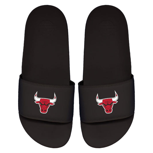 Bulls Primary Motto Slides