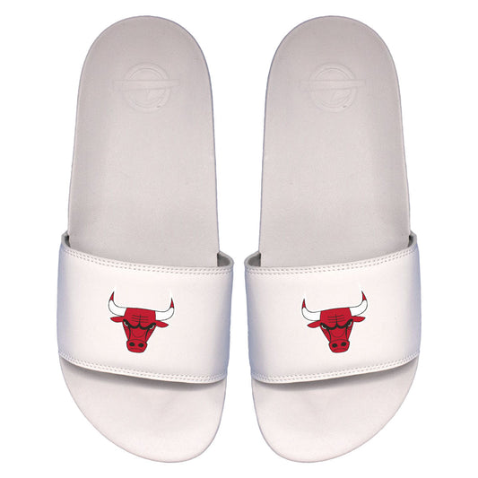 Bulls Primary Motto Slides