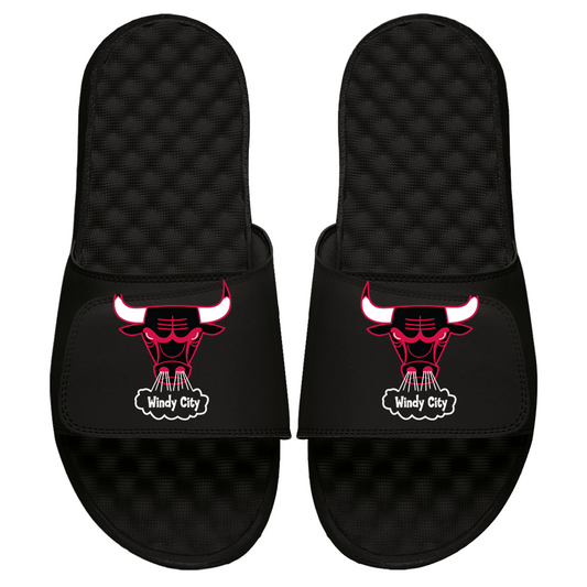 Chicago Bulls HWC Primary Slides