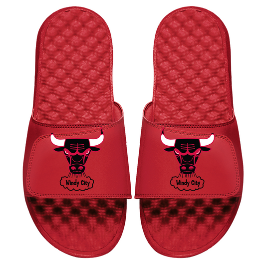 Chicago Bulls HWC Primary Slides