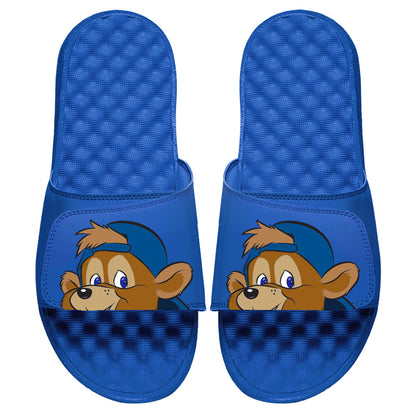 Chicago Cubs Mascot Slides