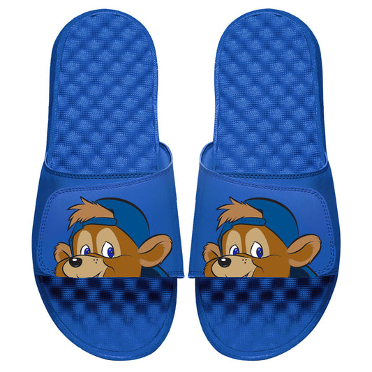 Chicago Cubs Mascot Slides