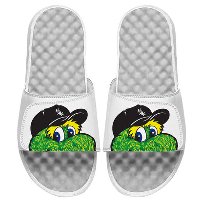 Chicago White Sox Mascot Slides