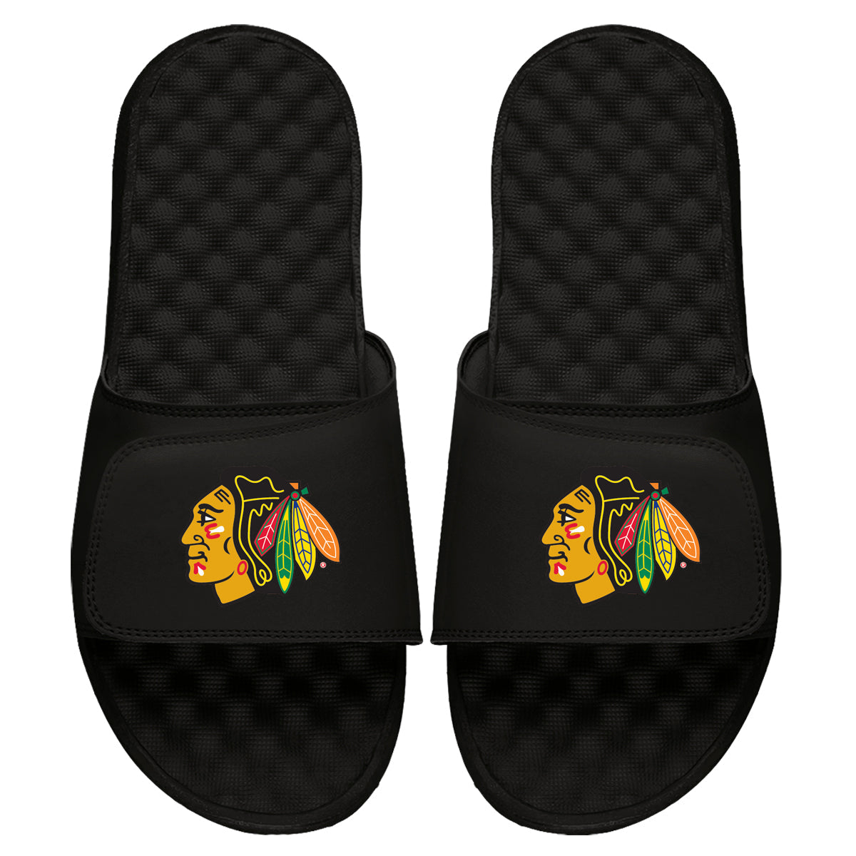 Chicago Blackhawks Primary Slides