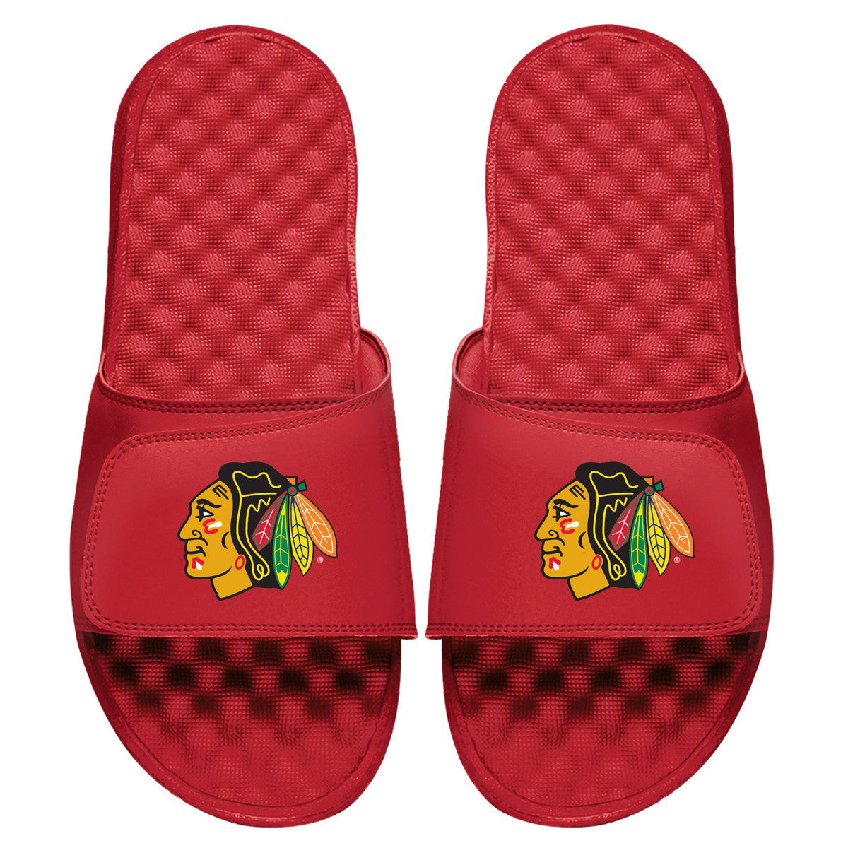 Chicago Blackhawks Primary Slides