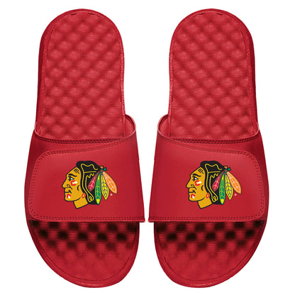 Chicago Blackhawks Primary Slides