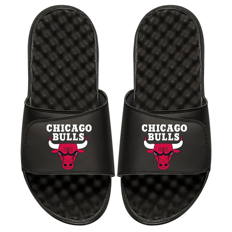 Chicago Bulls Global Slides