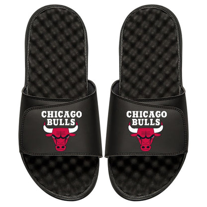 Chicago Bulls Global Slides