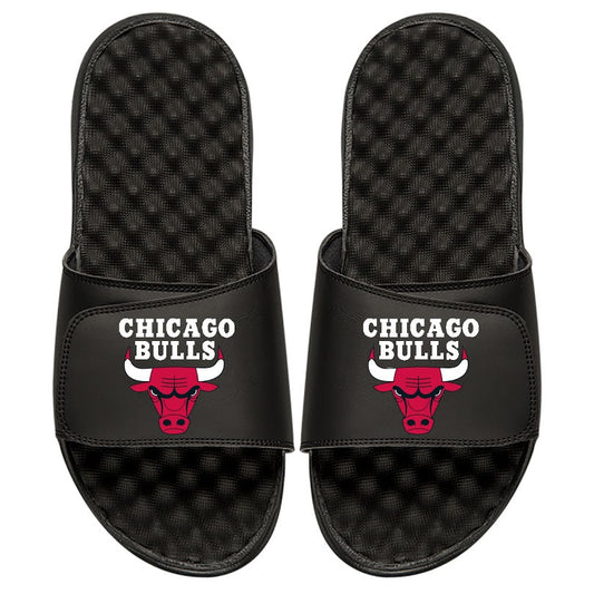 Chicago Bulls Global Slides