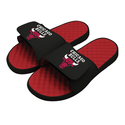 Chicago Bulls Global Slides