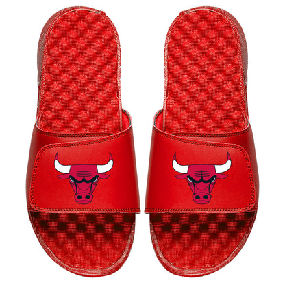 Chicago Bulls Primary Slides